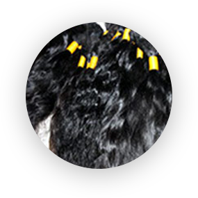 Remy Bulk Hair